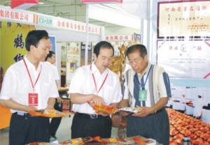 原安陽(yáng)市市長(zhǎng)董永安、副市長(zhǎng)陳明今到公司調(diào)研